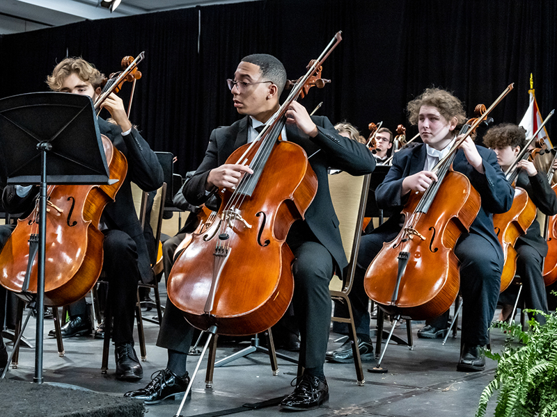 Photo of cellos performing